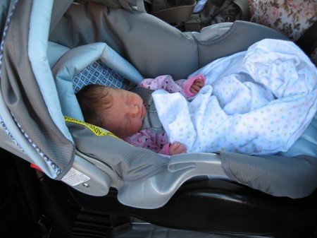 Annada likes to sleep in the car.  We're taking her to her second Pediatrician appointment because of her jaundice.
