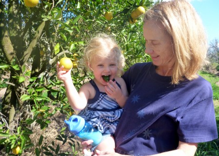 Picking oranges with Grandma while eating a cucumber from the farm. Life is good.
