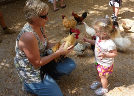 Annada loved going to the petting zoo with Meme.