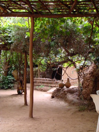 A picture from the hippy restaurant - it was beautiful. Those are grape vines growing on the canopy.