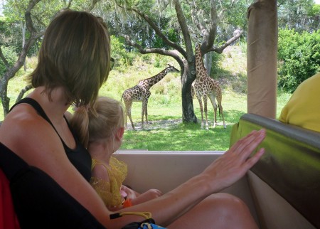 Watching the giraffes at Animal Kingdom after Brett and Christine caught up with Annada and Marc on their date.