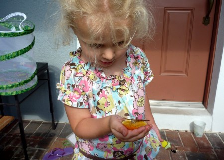 Letting her butterflies go. She let 2 go at home and 2 go at school.